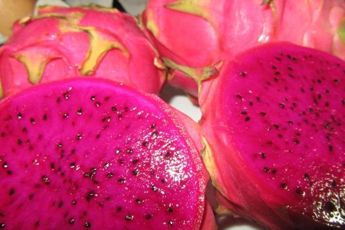Pitaya - Saborea lo mejor de nuestra cocina con ingredientes locales en Casa África Restaurante Playa Pitaya - Ingrediente local en Casa África Restaurante Playa